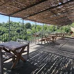 Restorant Olti Shetaj