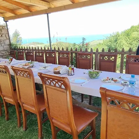 Restorant Olti