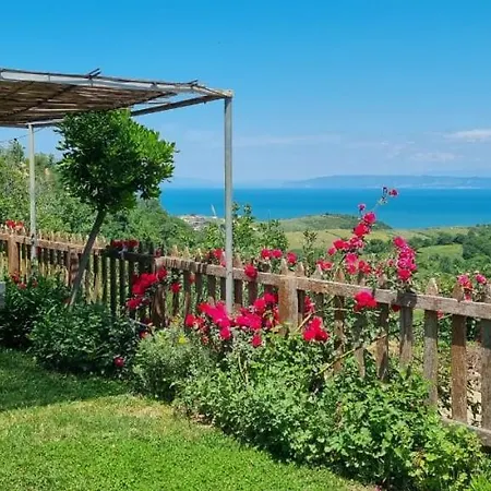 Restorant Olti Отель Shetaj