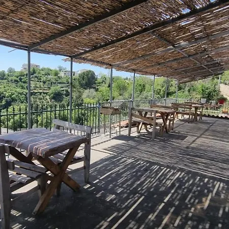 Restorant Olti Shetaj