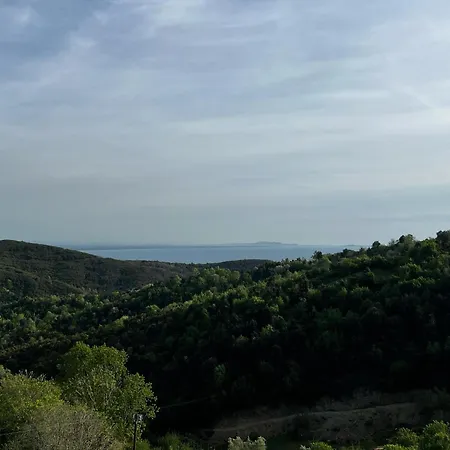 Restorant Olti Hotell