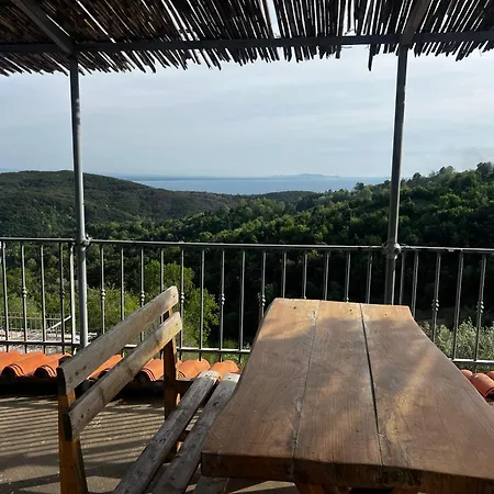 Restorant Olti Shetaj