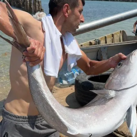 Отель Restorant Olti