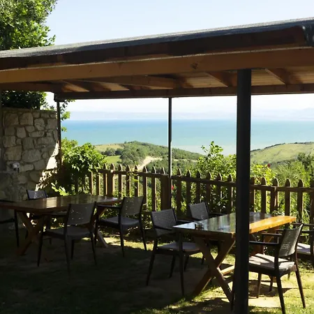 Restorant Olti
