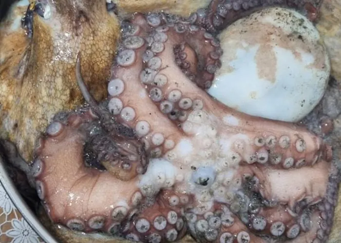 Restorant Olti * Shetaj