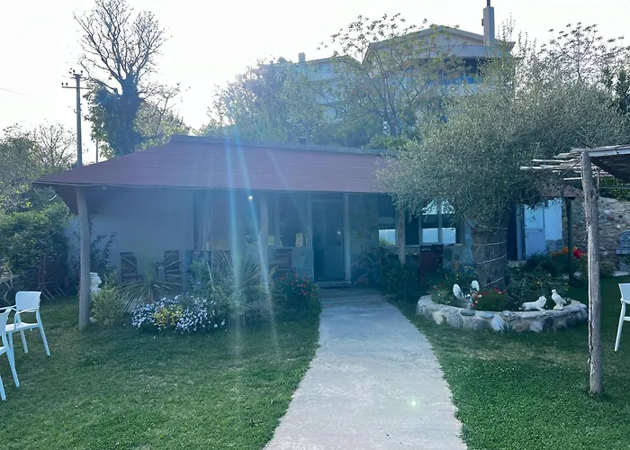 Restorant Olti Otel *