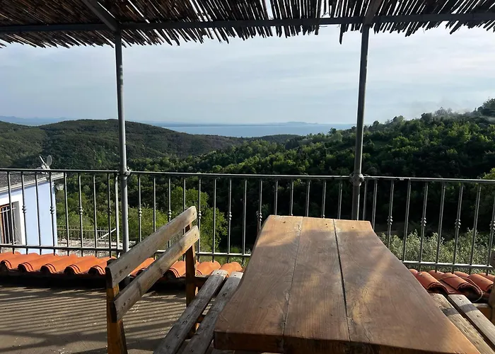 Restorant Olti Shetaj