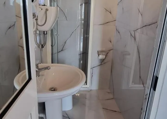 Otel Restorant Olti *