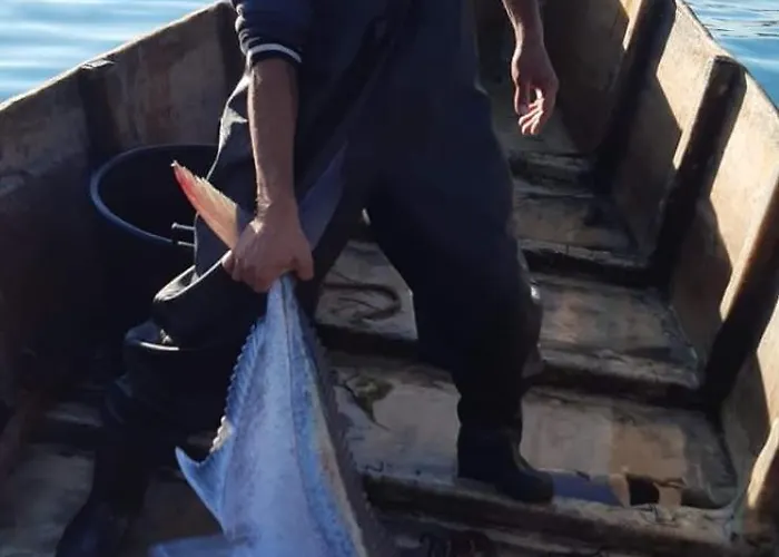 Restorant Olti * Shetaj