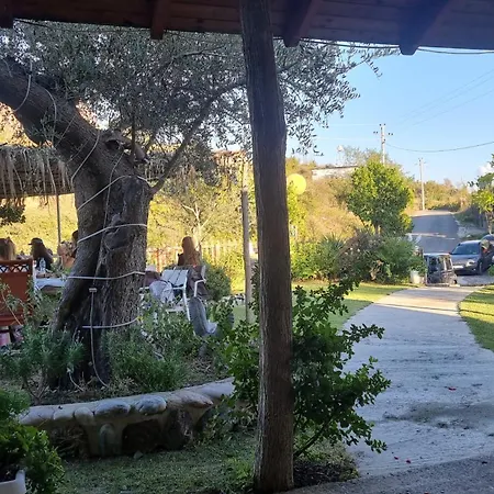 Restorant Olti Shetaj