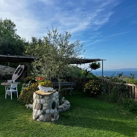 Restorant Olti Shetaj