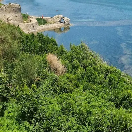 Restorant Olti
