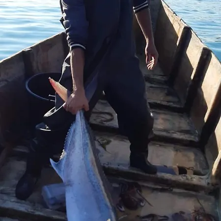 Restorant Olti * Shetaj